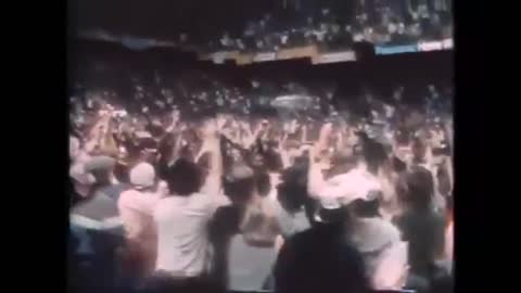 Boston Celtics 1981 NBA Champions - The…